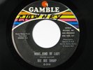 DEE DEE SHARP What Kind Of Lady GAMBLE Northern Soul 45 HEAR