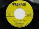 THE TOMANGOE'S I Really Love You WASHPAN Rare ORIGINAL Northern Soul 45 HEAR