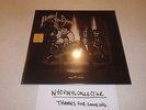 Panic At the Disco Vices & Virtues SEALED Hot Topic Maroon LP /1500 COPIES ONLY