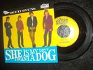 THE BEETHOVENS She Is My Love Orig. D Kerston 60009 PS Single vg++ Garagen Beat