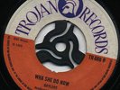 WHA SHE DO NOW / YOU HAD YOUR CHANCE  GAYLADS (Rare BOSS 1969 Skinhead Reggae) ?