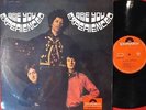 JIMI HENDRIX ARE YOU EXPERIENCED JAPAN 1st ISSUE GRAMMOPHON MONO LP SLPM-1391