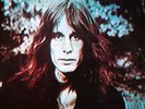 Rundgren,Todd - Hermit Of Mink Hollow  180gm Vinyl (2013, Vinyl NEW)