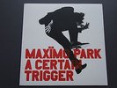 MAXIMO PARK     :   A Certain Trigger  :  12