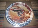 LYNYRD SKYNYRD FREEBIRD PICTURE DISC. NM CONDITION. VERY RARE.