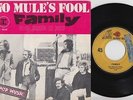 FAMILY * 1969 French 45 * FREAKBEAT PROG PSYCH * Listen
