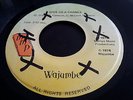 WAJUMBE - GIVE US A CHANCE // MMP 7