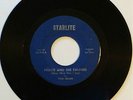 Prince & the Paupers: What More Can I Say | very rare 1966 Ohio garage **HEAR**