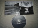 DROWNING THE LIGHT/OLD OAK 