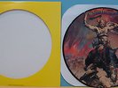MOLLY HATCHET BEATIN THE ODDS PROMO ONLY PICTURE DISC ON EPIC 1980  NM