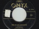 Doo-Wop 45 - Pearls - Tree In The Meadow - Onyx - mp3