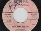 R&B 45 - Ervin Rucker - Done Done The Slop - Duplex - mp3