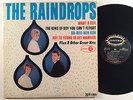 THE RAINDROPS LP 