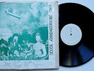 LED ZEPPELIN LIVE ON BLUEBERRY HILL 2 LP 70s Green Cover
