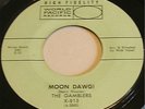 The Gamblers Moon Dawg Rare Surf 45-World Pacific