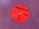Dinosaur Jr Youre Living All Over Me Very Ltd Coloured Vinyl On SST Label