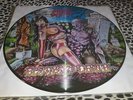 MEAT SHITS LP PICTURE DISC ECSTACY OF DEATH 372/1000 RARE PUNK KBD ANAL C*NT