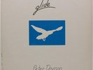 PETER DAVISON Glide LP PINA NM VERY RARE Private Issue New Age