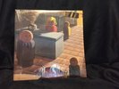 Sunny Day Real Estate Diary Super Rare Green Vinyl In Shrink Insert SP246