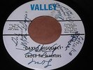 Cross Tie Walkers: Days I Recolect / Girl We Got A While Yet 45 - Signed