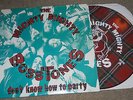 THE MIGHTY MIGHTY BOSSTONES lp PICTURE DISC don't know how to party SKA