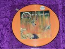 SLAYER -Hell awaits-  rare limited numbered Picture Disc 