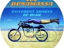 Joe Bonamassa - Different Shades Of Blue [Vinyl New]
