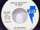 THE NEWCOMERS: Open Up Your Heart / Girl, This Boy Loves You VOLT PROMO 45, VG+
