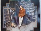 TOWNES VAN ZANDT Delta Momma Blues Tomato TOM-7013 2nd Press NM Vinyl LP