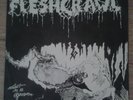Fleshcrawl - lost in a grave 7