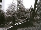 Timber Timbre - Timber Timbre