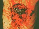 Dismember - indecent and obscene