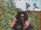 Vinyle 33T Peter Tosh 