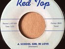 Doo Wop R&B 45 THE SHARMEERS A School Girl in Love on RED TOP #109   HEAR IT