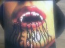 The Bronx Tarantulas vinyl LP Punk Hardcore Blood for Blood Stooges MC5 RARE
