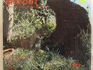 DON JONES Bigfoot (Northwest's Abominable Snowman) LP NOVELTY STRANGE in shrink