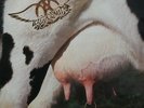 Aerosmith : Get A Grip Double Vinyl LP 1993 (Promo Sticker)