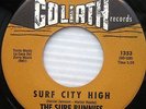 the SURF BUNNIES Surf City High Met The Boy I Adore GOLIATH 1353 45 A27 HEAR IT