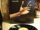 NORMAN FEELS S/T 1973 JUST SUNSHINE JSS-8 