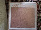 JOY DIVISION John Peel Sessions VINYL LP Love Will Tear Us Apart RARE NM