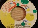IRON SIDE - THE NEW ESTABLISHMENT - ROCK FORT ROCK - RARE ROOTS 7