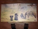 Warhorse LP Original Vertigo Swirl Label 1st Pressing Prog Rock V Rare