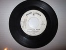 Sanford Clark Tennessee Walk/Give the Boy Love Project 5004 Sill-Hazlewood