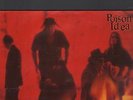 POISON IDEA - we must burn LP