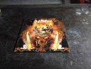 Destruction The Antichrist Lp