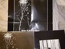 DARKTHRONE Under a Funeral Moon LP PEACEVILLE First Press BLACK METAL
