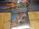 Sexy Nude Cover Cheesecake LP Boney M Love For Sale With Giant Poster