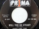 GARY & THE KNIGHT LITES 45 Will You Go Steady PRIMA White Doo Wop PROMO #D433
