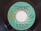 Fantastic Four - Cant stop looking for my baby - Ric Tic