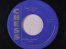MUDDY WATERS: I Won't Go On / She's Got It 45 Blues & R&B